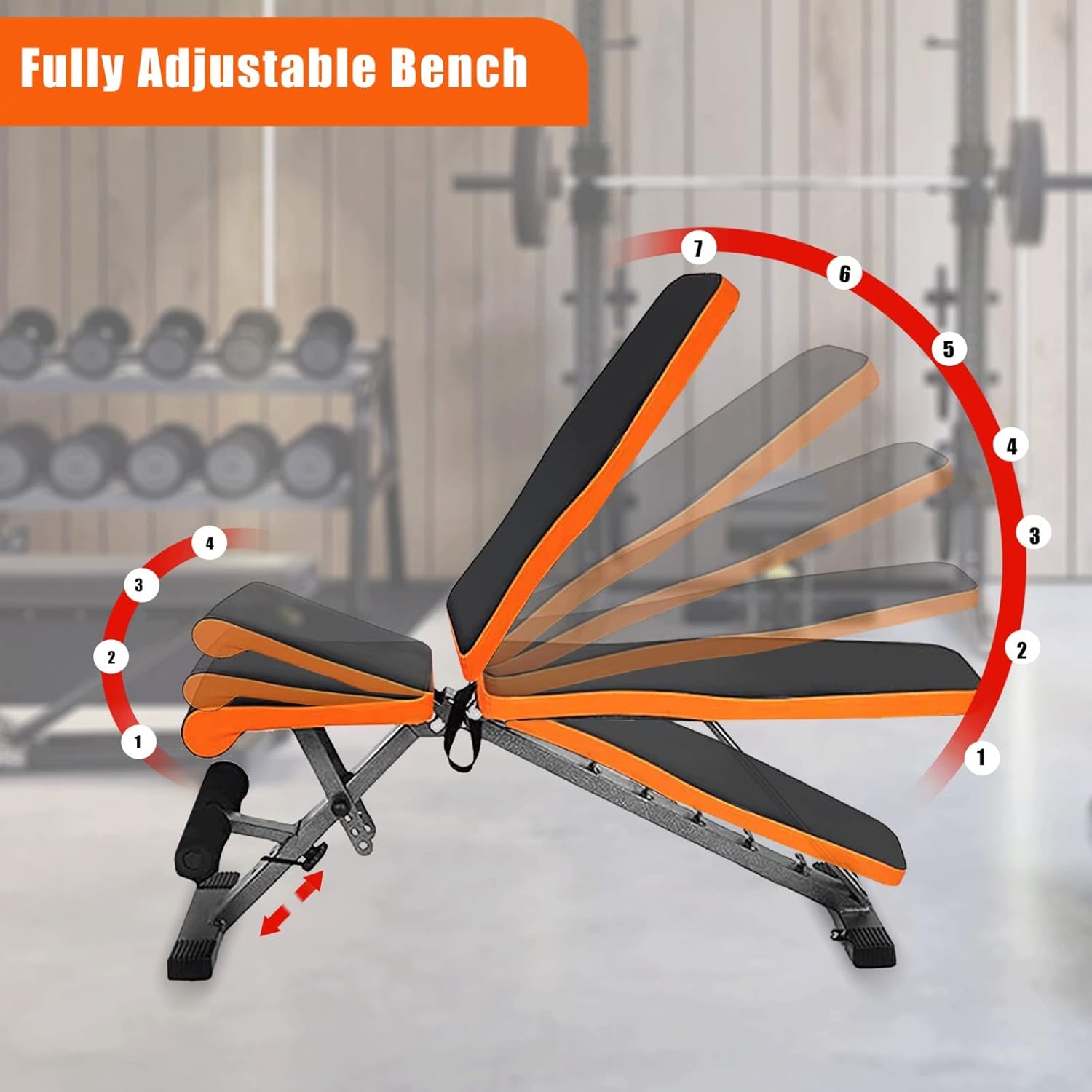 SKY LAND Adjustable Weight Bench for Home Gym - Multifunctional Bench Press Workout Station, Foldable Design, High-Density Foam Padding, Supports 150 kg, Heavy-Duty Steel - Image 3