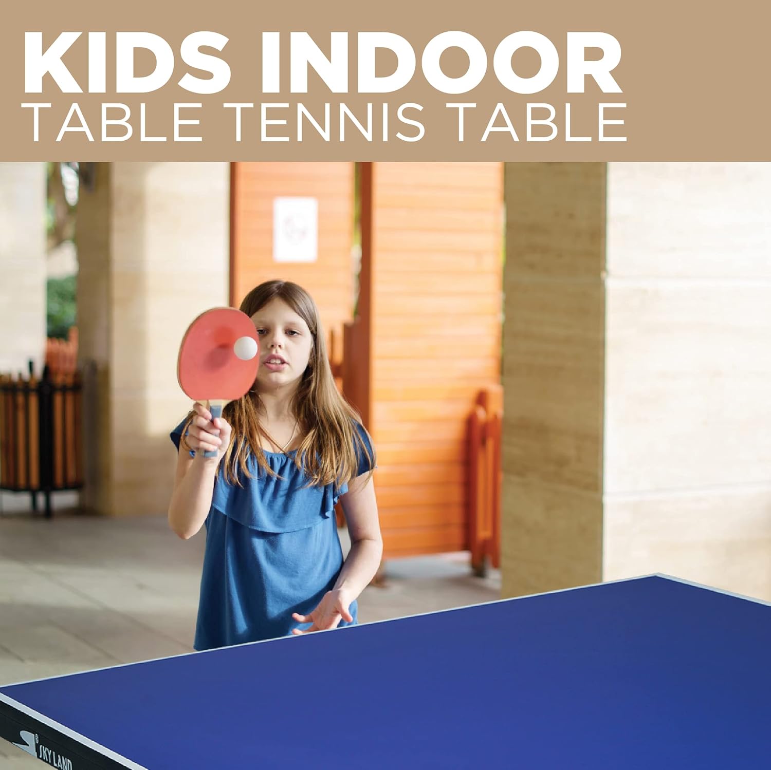 Sky Land Sports Mini Table Tennis Table Ping Pong Table For Kids Em 8008, Tt Table Light Weight Blue - Image 6